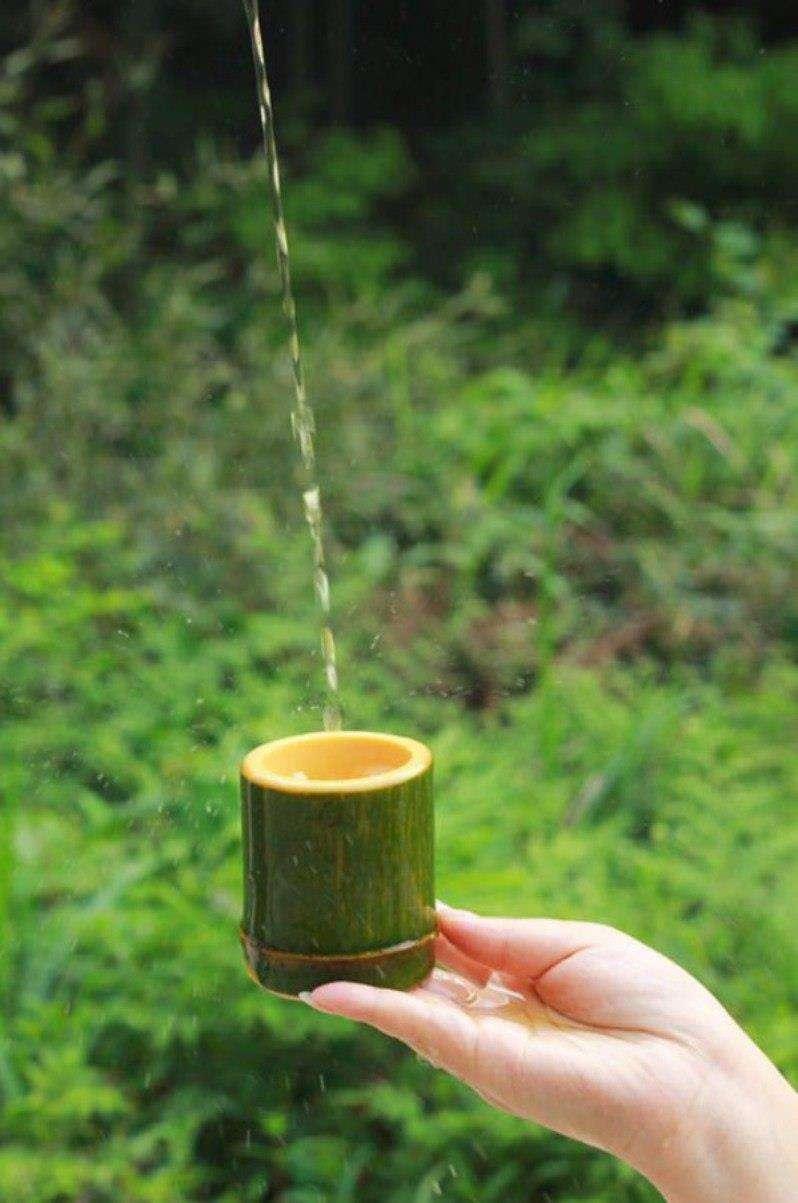 竹酒到底怎么样,竹子酒有什么好处和坏处