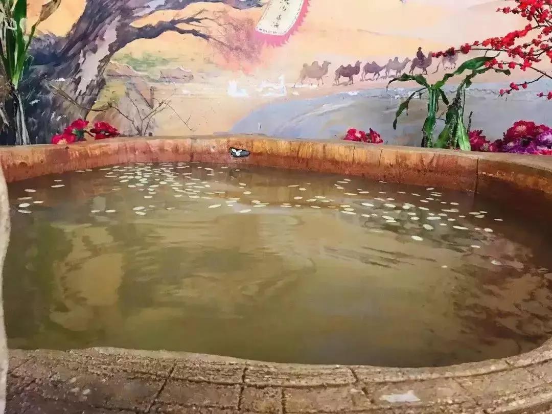 端午节遇上檀溪谷，奇幻海洋世界美爆你的视觉、味觉！