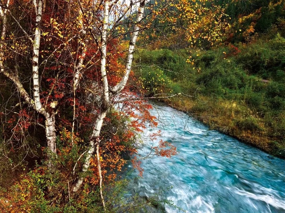 WE+酷窝“创事迹”——“走过全国150+城市，我还是决定创业！”