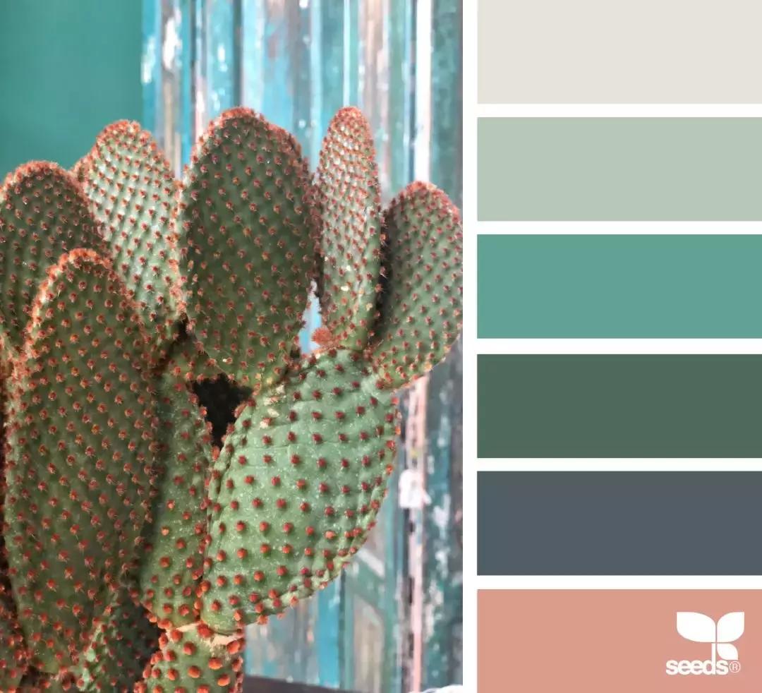 6种配色色卡,设计师最全万能配色色卡