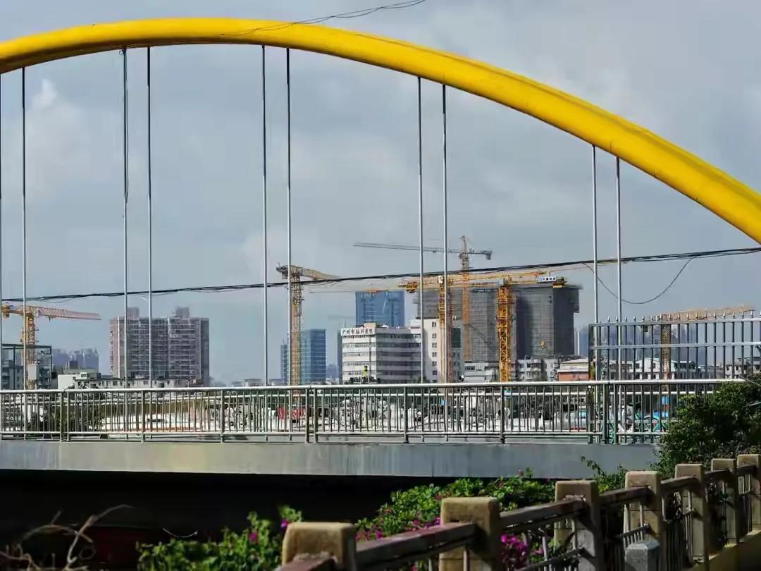 闃茬柅鎶楃柅鎽勫奖浣滃搧,鎶楃柅鎽勫奖