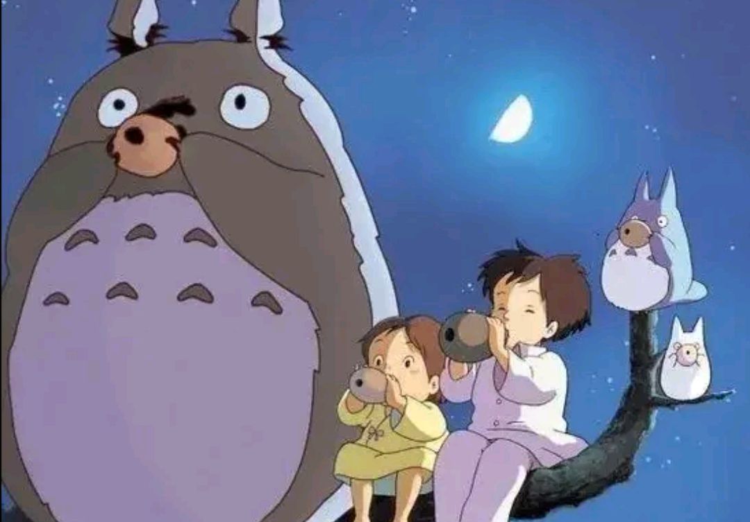 最可爱的动漫猫咪,云吸猫小猫视频