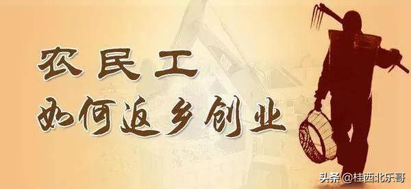 农村有什么可以返乡创业,回农村创业有什么好项目和政策