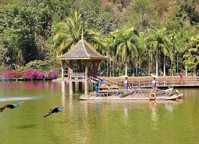 良心推荐|1月高性价比出行,附出行指南和必游景点