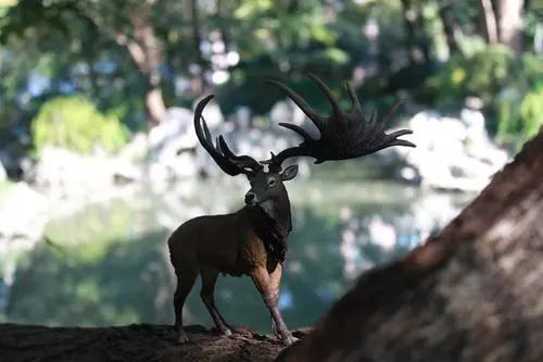 500块钱的自信,170的自信