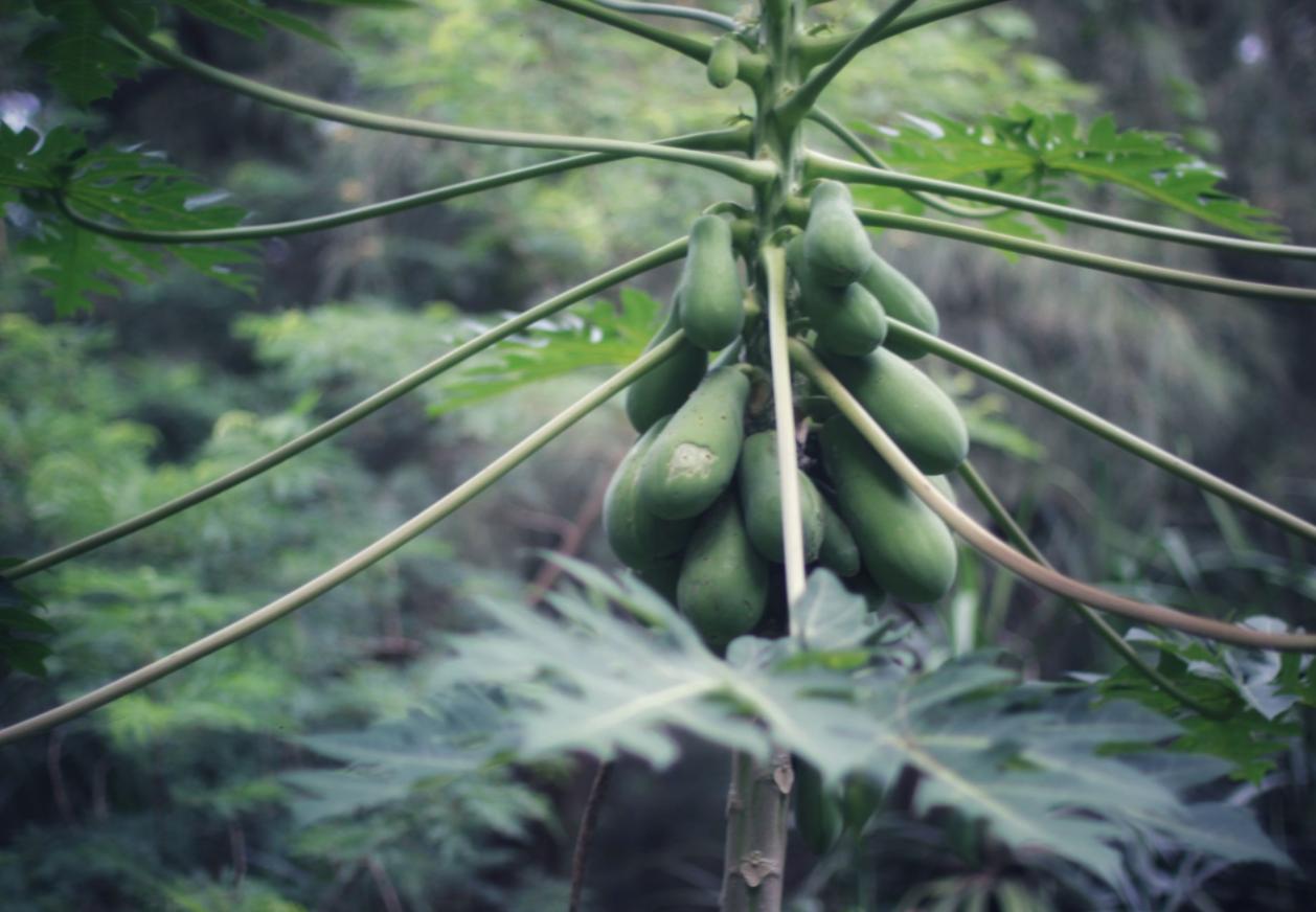 去北海涠洲岛最全旅游攻略,涠洲岛最详细攻略拿走不谢