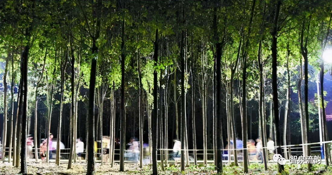 郭进拴神游索溪峪,郭进拴全部视频