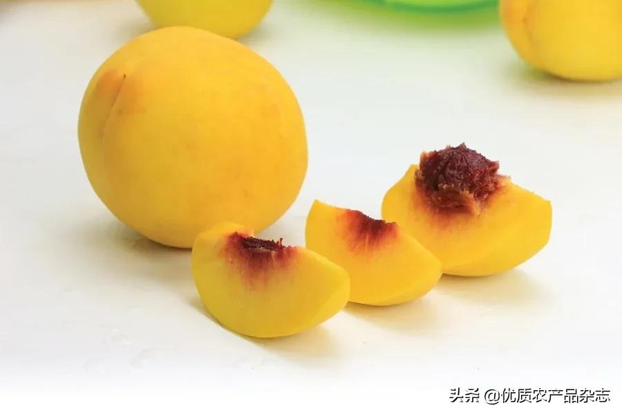 鲜食黄桃产地哪里的最好,什么种类的黄桃最好吃又甜