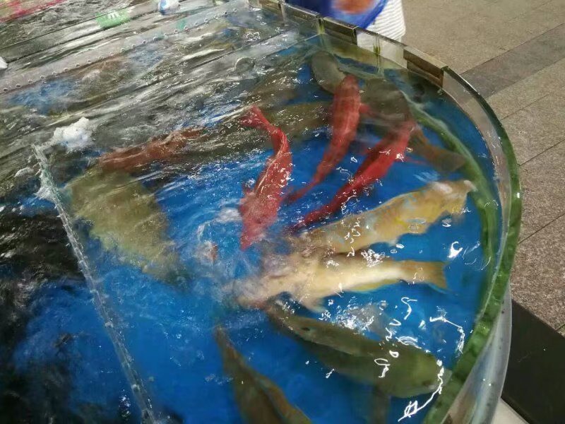 美丽椰城海口夜景,品味海口的韵味感受椰城的魅力