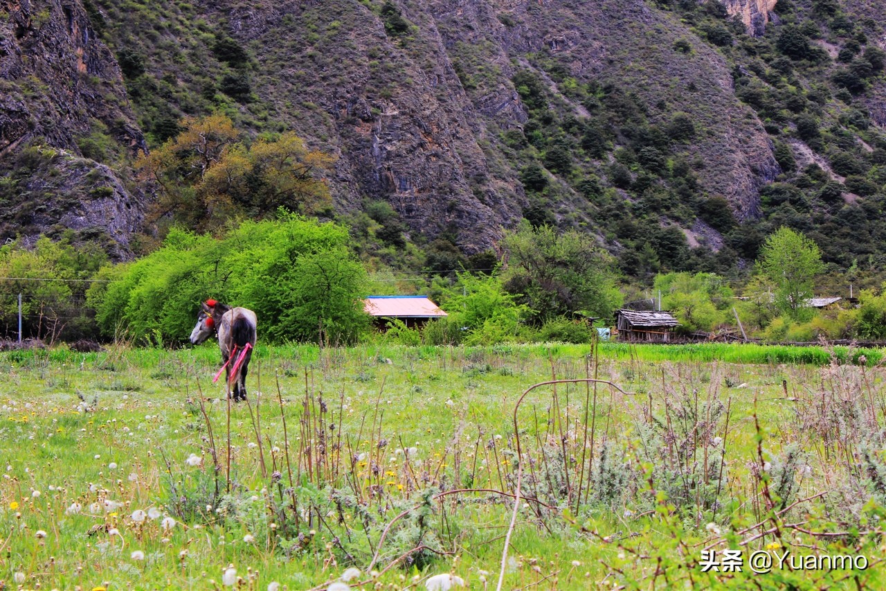 川藏线骑行完整版,川藏骑行图文版