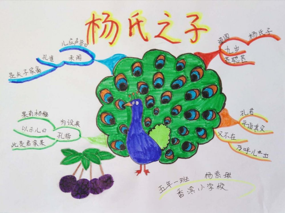杨氏之子思维导图简单漂亮画法,语文思维导图画法童年