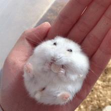 女子带危险品进站被拦,指甲油带上火车被处罚