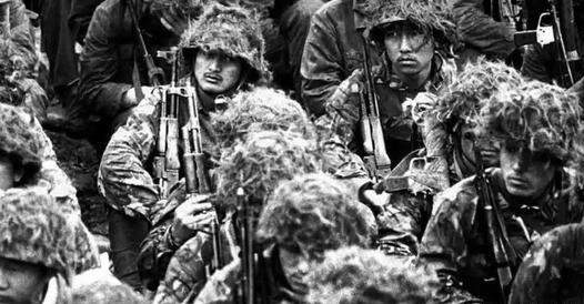 黑豹行动老山作战纪实视频,老山前线黑豹行动