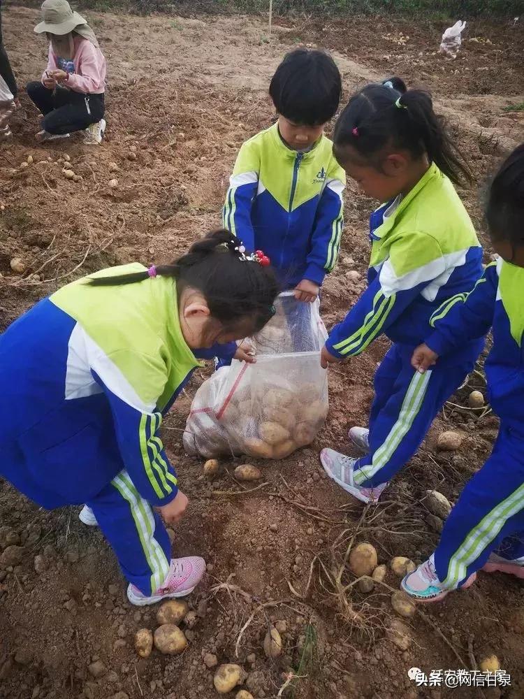 金太阳幼儿园校门,延安市甘泉谢金庄幼儿园