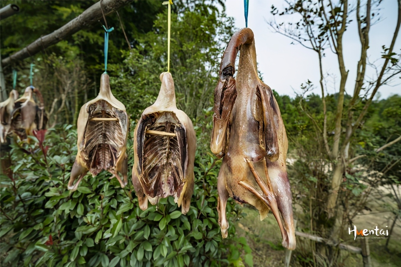 郎溪农村吃饭,郎溪吃饭农家乐