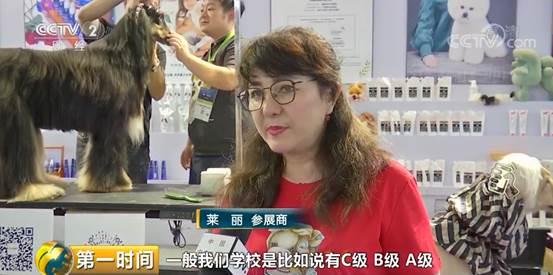 给宠物整个造型，要花5000块钱？小宠物大市场：宠物行业总市值首次破2000亿