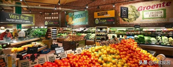 荷兰生活费上涨了多少,荷兰生活费