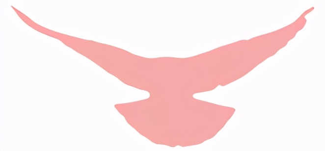 学党史知党恩征文个人,学党史知党史征文500字