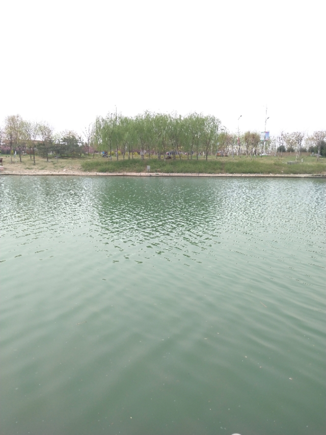 高中生焦虑如何自我调节,高中生学习焦虑怎么安慰