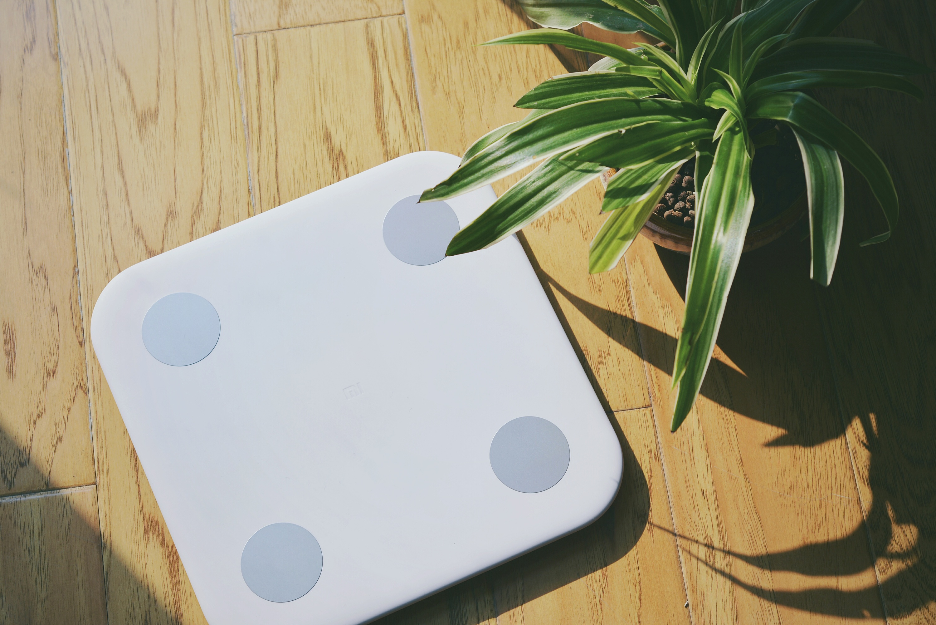 体脂秤是怎么测量数据的,体脂秤是怎样测量体脂的