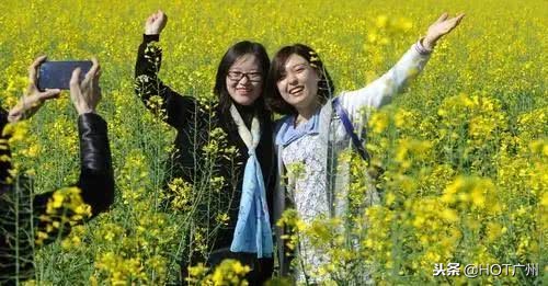 广州绿道攻略,广州旅游观光1线