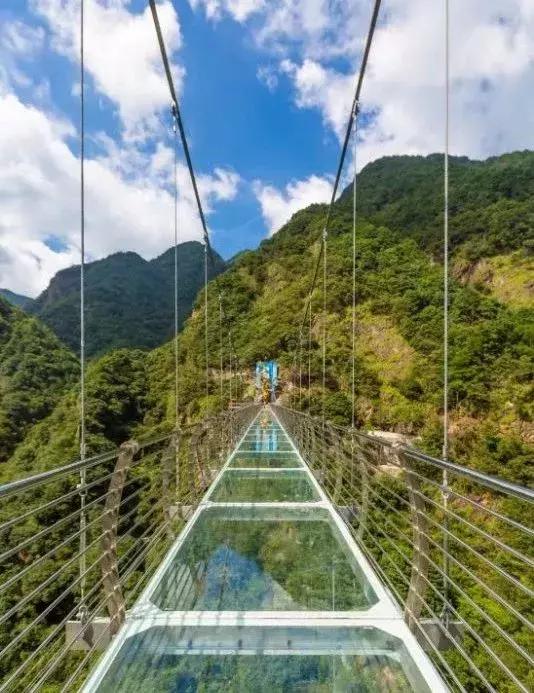 森林负离子度假酒店,负氧离子氧吧酒店