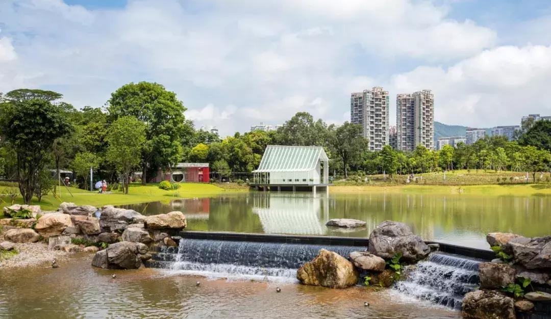 春日赏花深圳,深圳春游赏花
