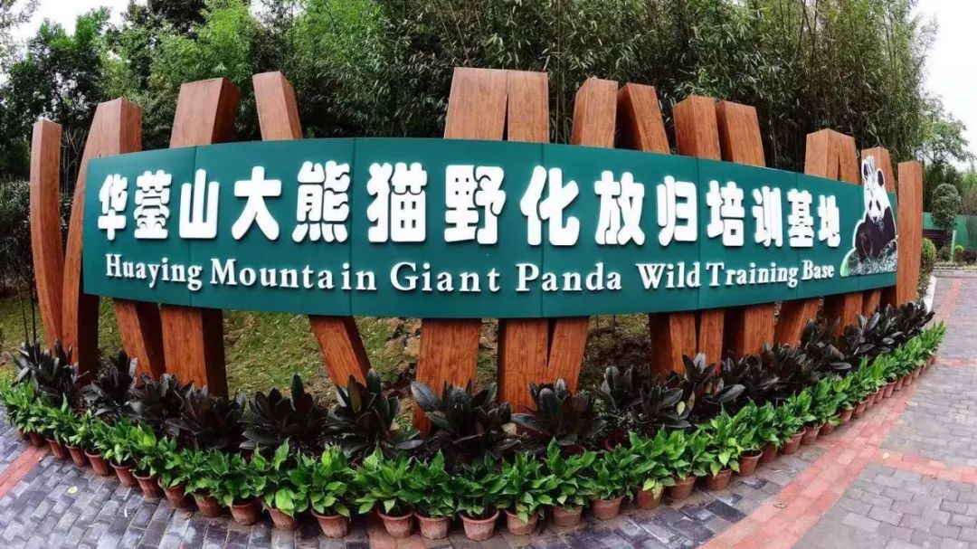 华蓥山最高海拔多少,华蓥山在四川算大的吗