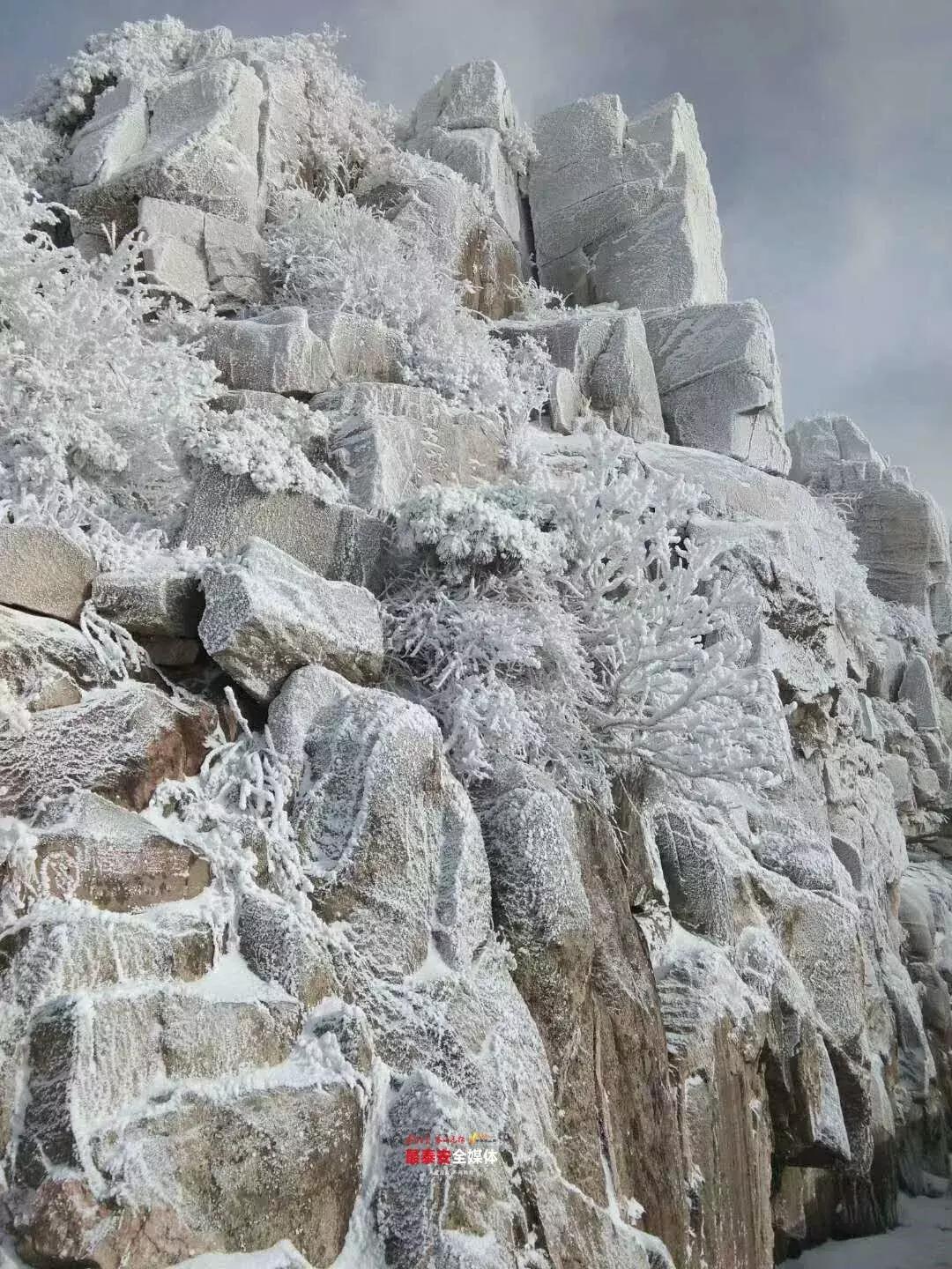 此刻泰山成了雪国,美到无言!高清美图来袭,“雪国的列车”即刻发车!