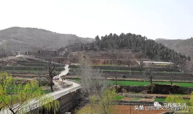 卫辉人那些昼思夜想的桥！究竟有何魔力？