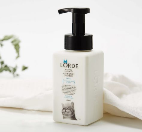 专访麦和黄振鹏：宠物网红品牌如何与线下市场共生？