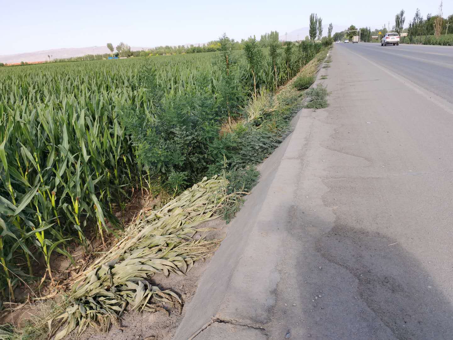 鬼哥的五万里D20张掖市山丹县-张掖市临泽县