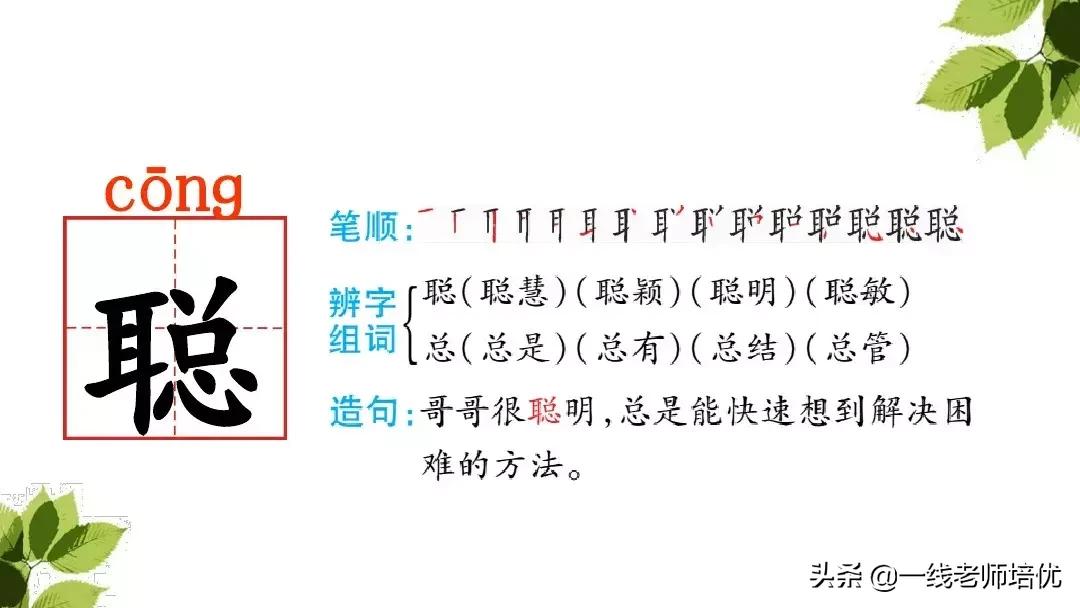 三年级语文带刺的朋友课堂笔记,带刺的朋友三年级上册