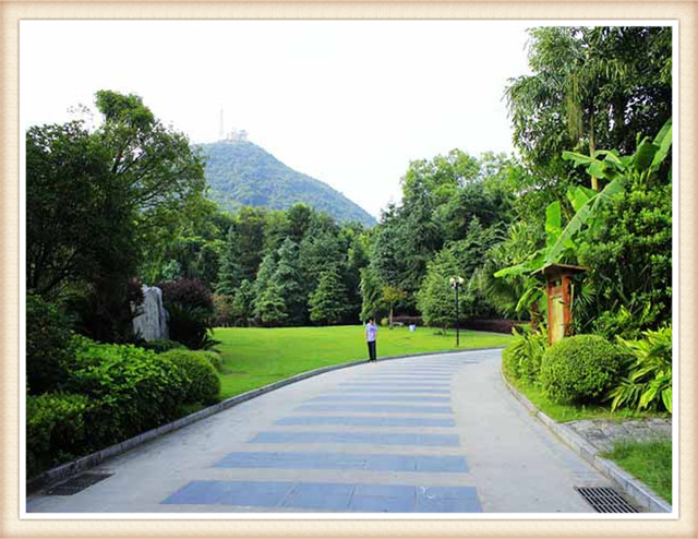 最漂亮的园林景观,100款最美园林设计图