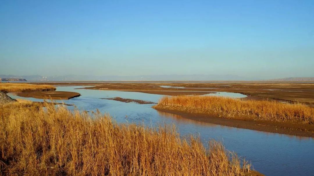 省政协原副主席陈光：虽只是个过客，却细细品尝了菏泽味道