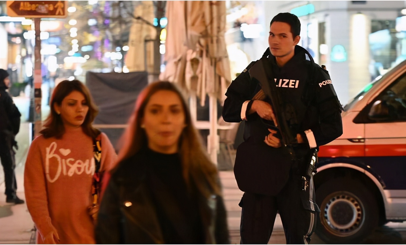 奥地利枪支,18世纪奥地利枪支