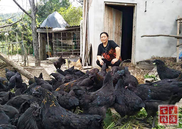 玉皇山下好*光春**