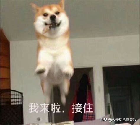 十部顶级韩国犯罪电影推荐,欧美日本韩国免费犯罪电影