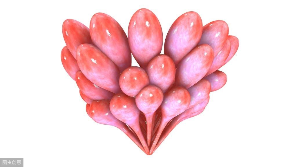 灏忓彾澧炵敓鏄粈涔堟剰鎬濆晩,涔宠吅灏忓彾澧炵敓鑳借嚜鎰堝悧