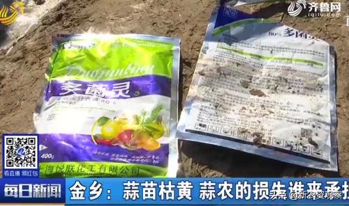 蒜苗用多菌灵能起到啥作用,多菌灵0.09超标吗