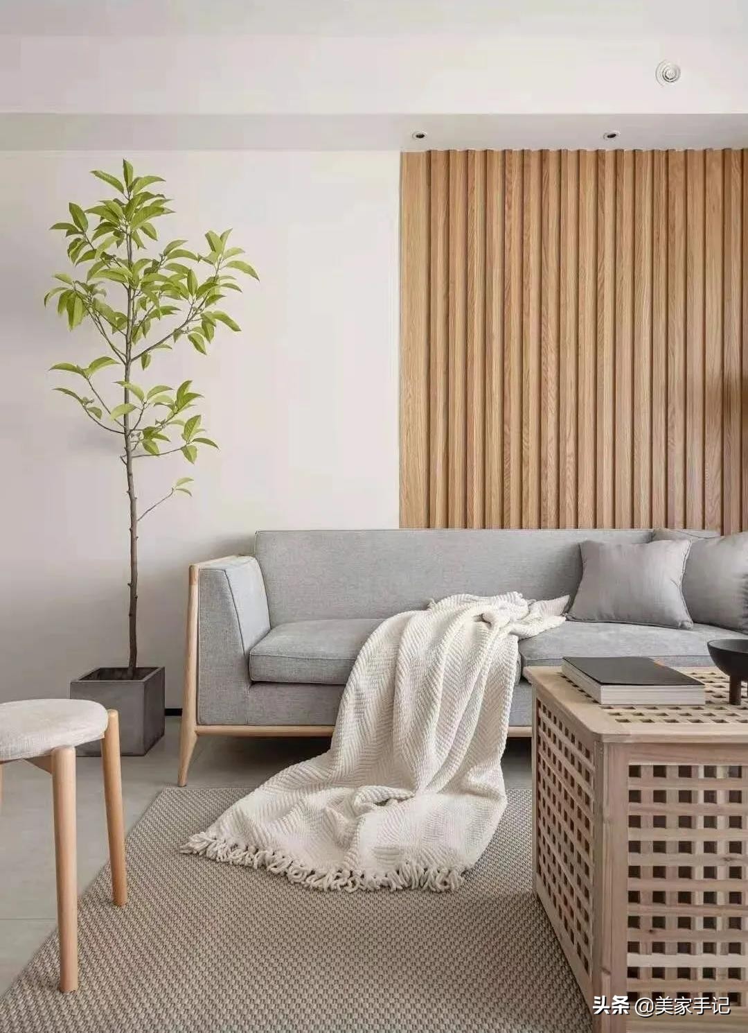 简单的白色原木色小家温馨又惬意,治愈系清新原木风的家