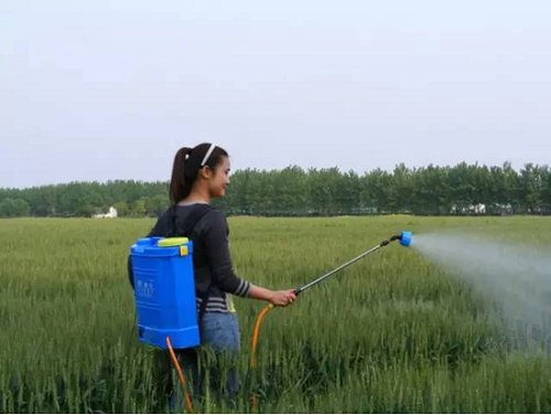 农村创业点子大全,农村创业新点子