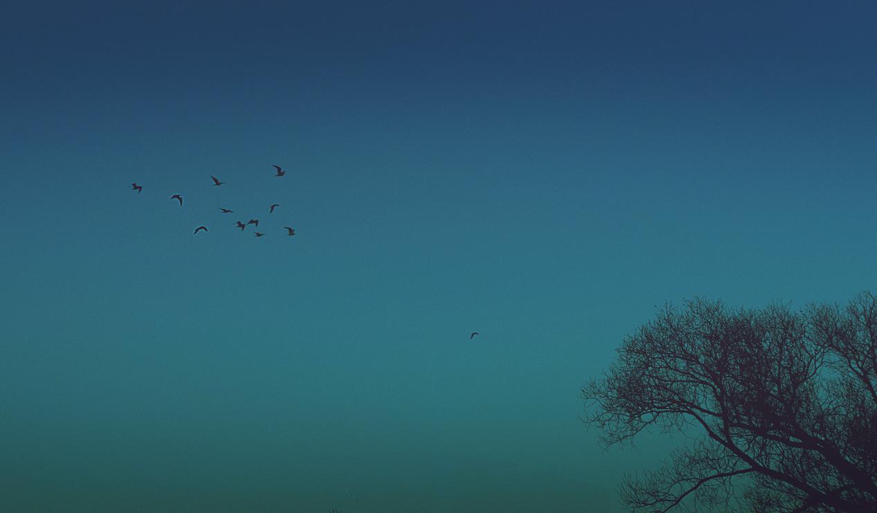 佳能新手入门相机哪款好看一点,佳能最新款入门相机推荐