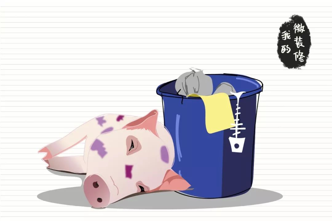 关于垃圾分类你想知道什么问题,关于垃圾分类那些你不知道的事