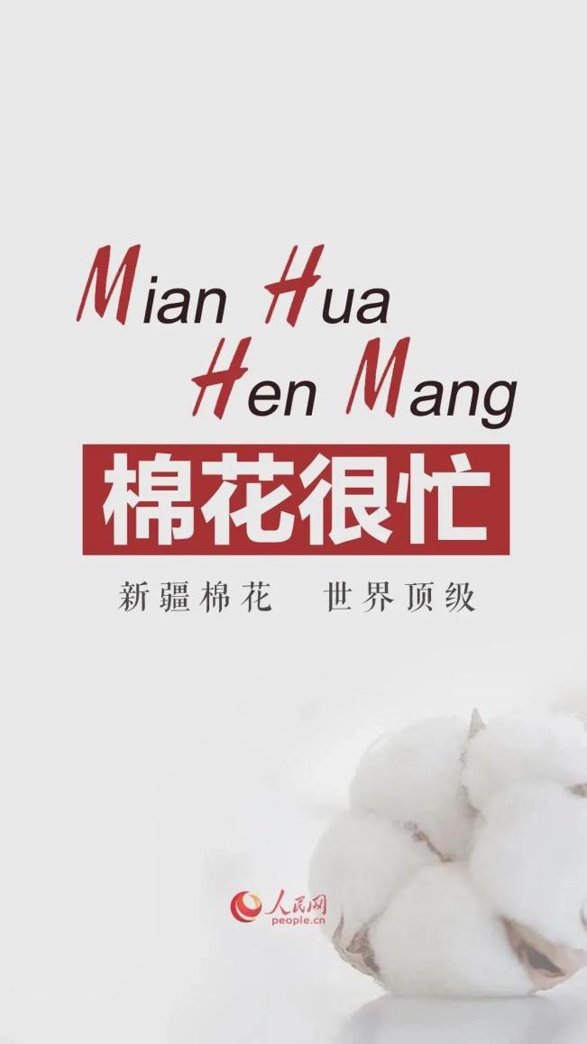 棉花协会严正声明,中国棉花协会在哪