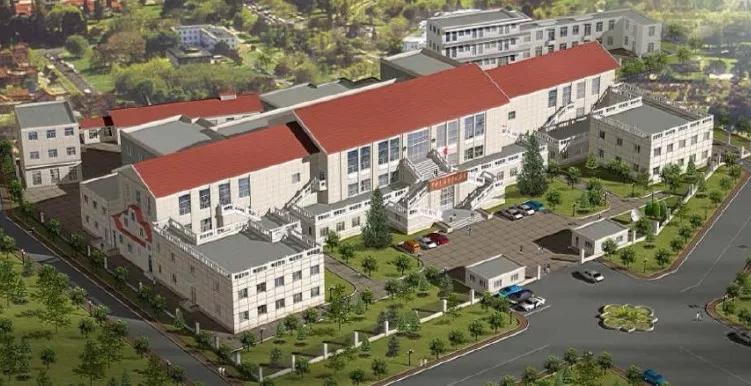 整容变迁史,整容进化史