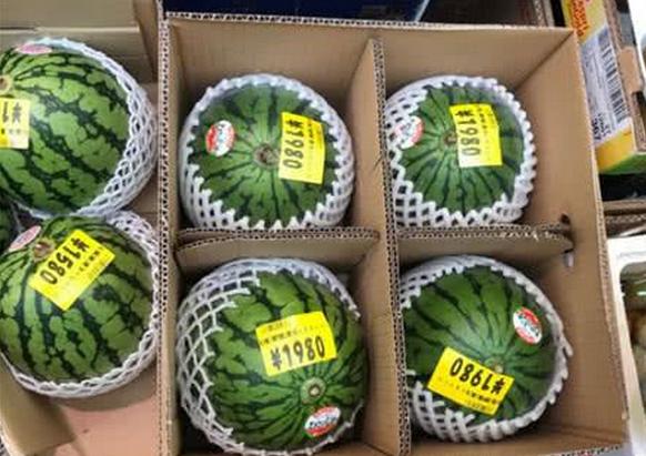 日本的生活成本是多少钱,最真实的日本生活成本太高