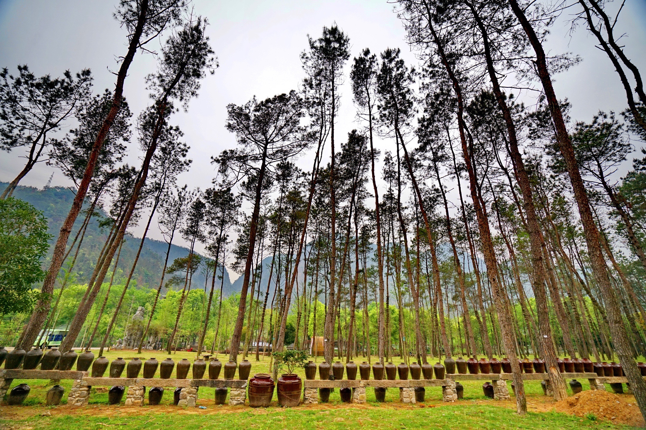 暑假凉快不晒的旅游地方,暑假避暑胜地最佳地方