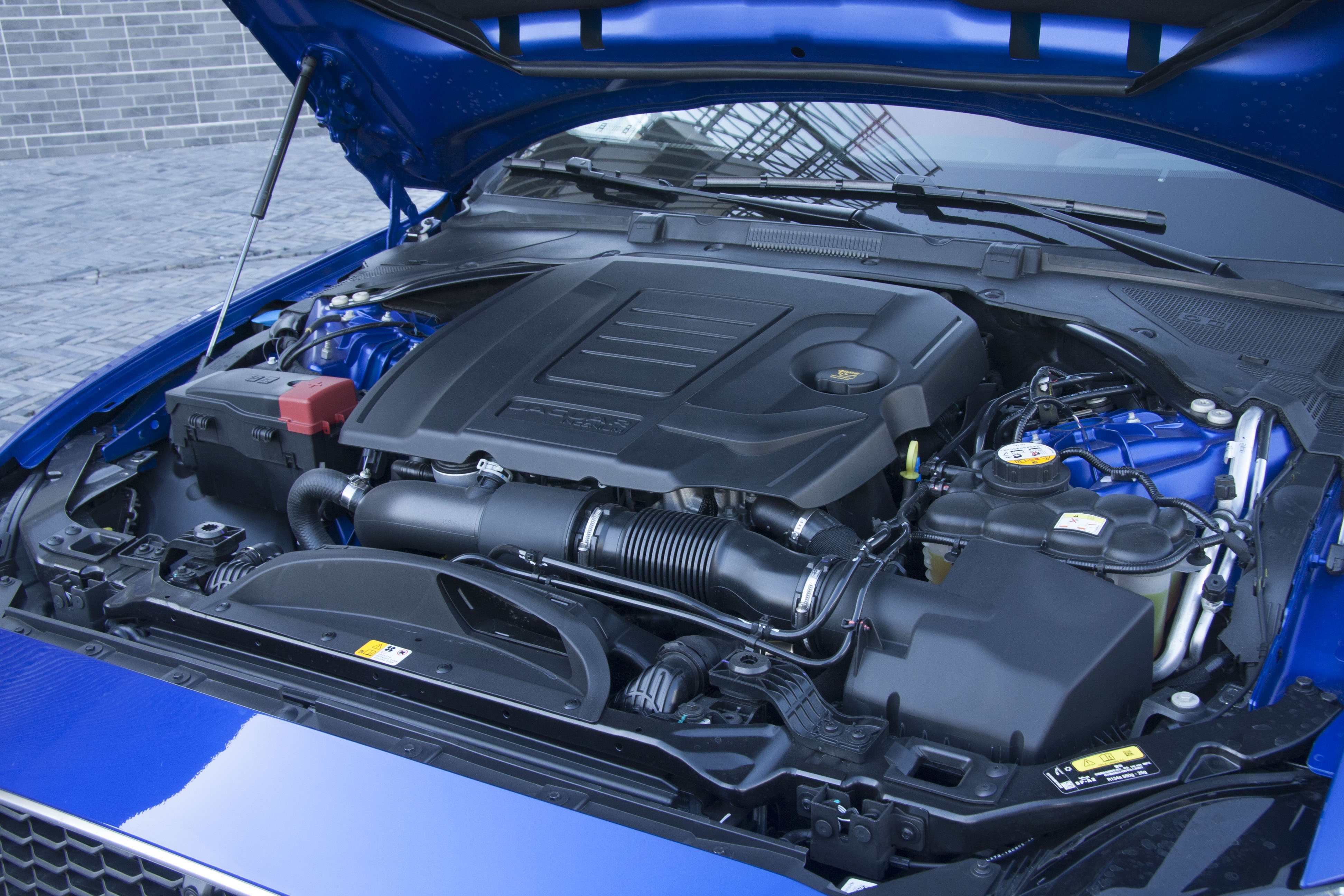 捷豹xel算小众车,捷豹xel小众吗