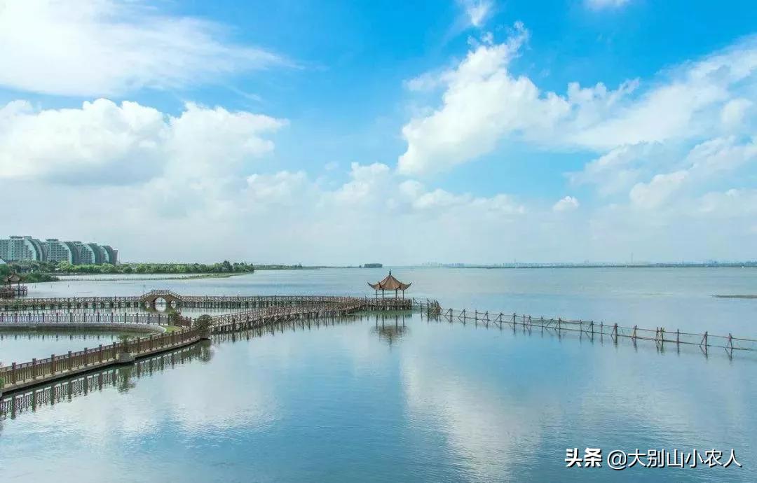 阳澄湖大闸蟹金字招牌,疯狂大闸蟹